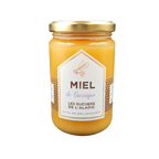 Miel de garrigue
